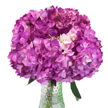 Hydrangea Berry Airbrushed Flower in a Vase
