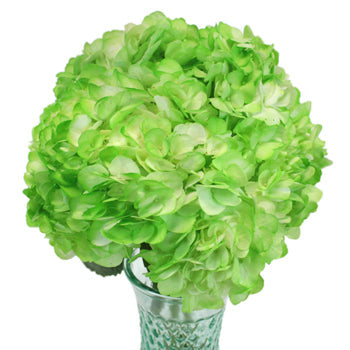 Hydrangea Light Green Airbrushed Wholesale Wedding Flowers in a Vase
