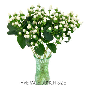 Snow White Designer Hypericum Berries