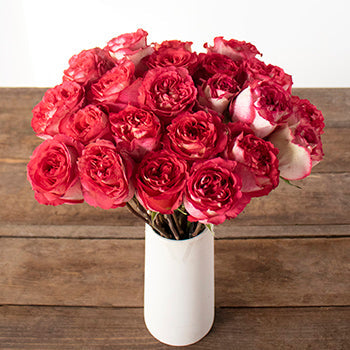 Iguazu Pink White Rose Vase