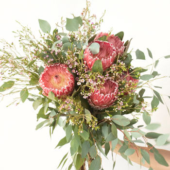 Impressive Protea Combo Wholesale DIY Flower Kit In a Hand