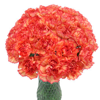 Indiana Dark Orange Sunset Carnation Flowers In a vase