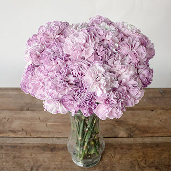Inory Pink and Purple Carnation Flowers in a Vase