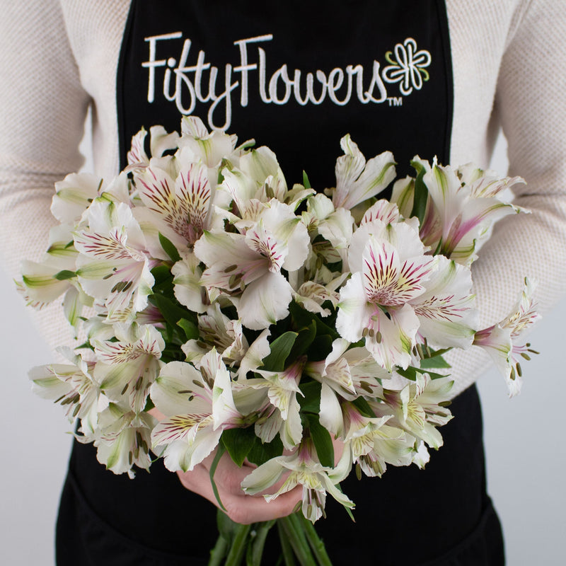 Ivory White Peruvian Lilies Flower Bunch in Hand