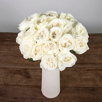 Jeanne Moreau Garden Wholesale Roses In a vase