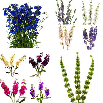 July Wedding DIY Flower Kit Bunch