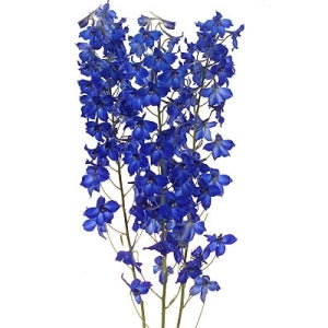 July Wedding Delphinium DIY Flower Kit Bunch