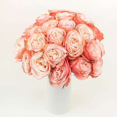 Kahala Peach Wholesale Roses In a Vase
