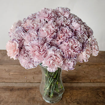 Killua Pink and Lavender Carnation Flowers in a Vase