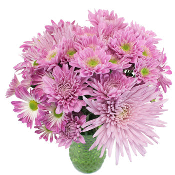 Sugar Plum Fairy Flower Pack