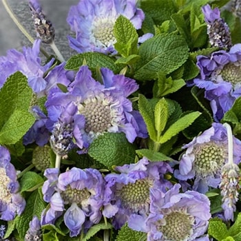 Lavender Mothers Day Flower Bouquet Online