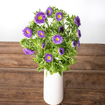 Lavender Matsumoto Flowers