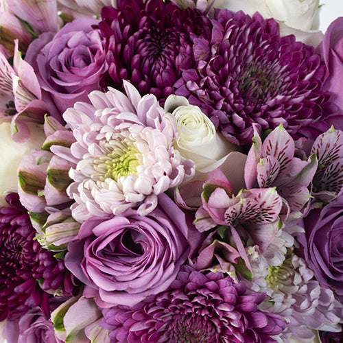 Sweetwater Valentine's Flower Collection