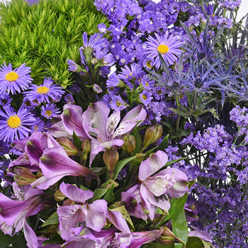 Lavender Textured Filler DIY Flower Kit Up Close