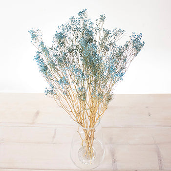 Dried Gypsophila Flower Light Blue