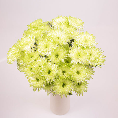 Light Green Cushion Flowers Bunch in Vase