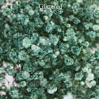 Seafoam Green Airbrushed Baby's Breath