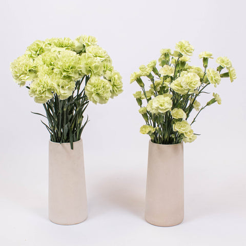 Light Green Flower Kit Recipe