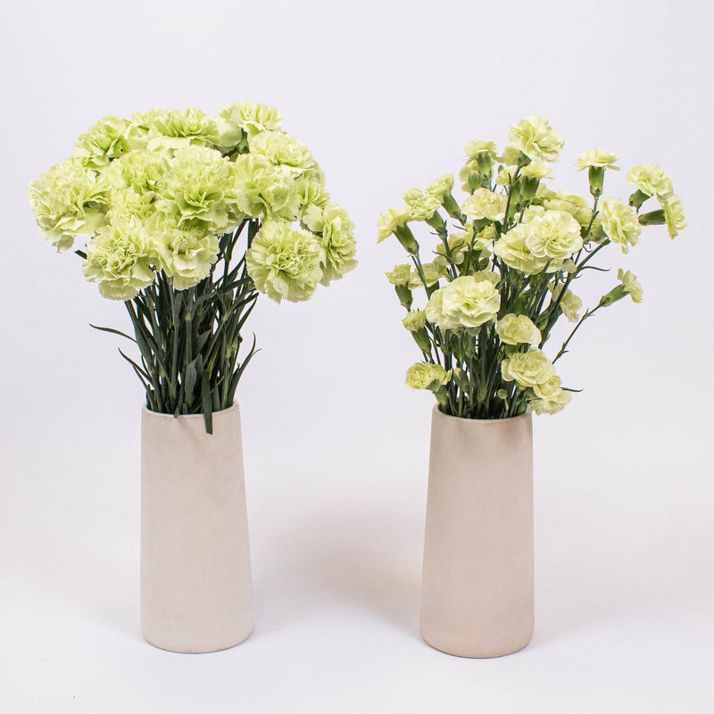 Light Green Flower Kit Recipe