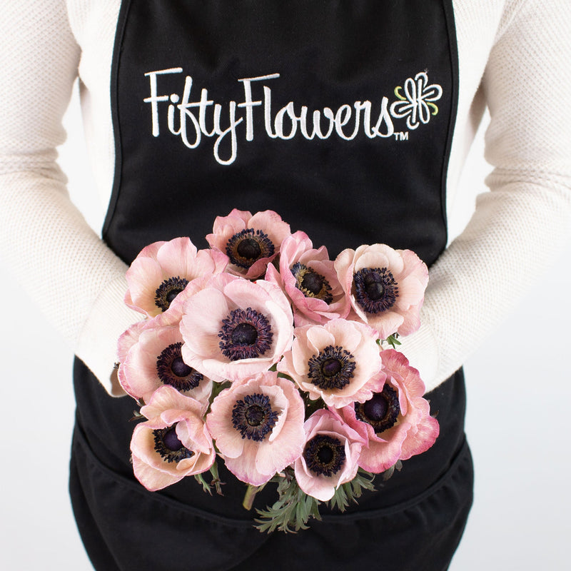 Light Pink Anemone Flower Bunch in Hand