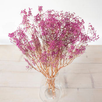 Dried Pink Baby's Breath