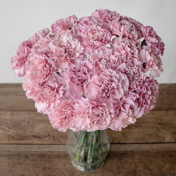 Light Pink Flamingo Wholesale Carnation in a Vase