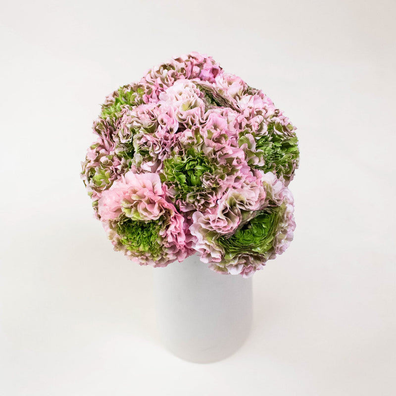 Light Pink Pon Pon Ranunculus Flowers in Vase