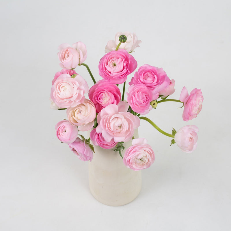 Light Pink Ranunculus Flower Bunch in Vase