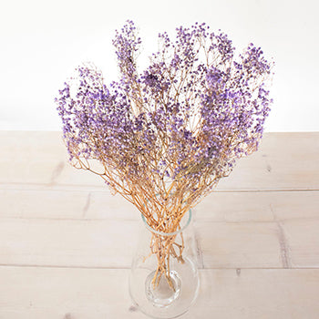 Dried Baby's Breath Flower Soft Purple