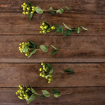 Lime green hypericum berry bulk flowers