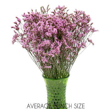 Pink Lavender Limonium Flowers