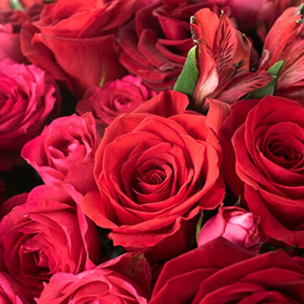 Love Is Kind Red Rose Arrangement Valentines Arrangements