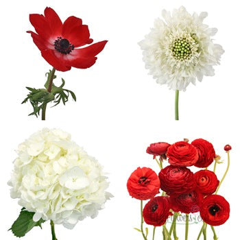 Lush Garden Red DIY Flower Kit Bunch