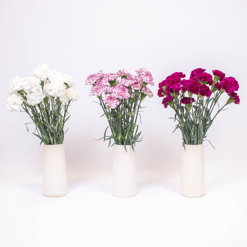 Magenta White Flower Kit Recipe