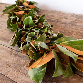 Magnolia Garland