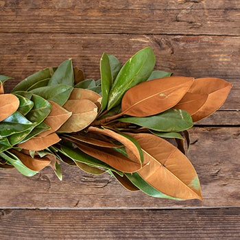 Magnolia Garland