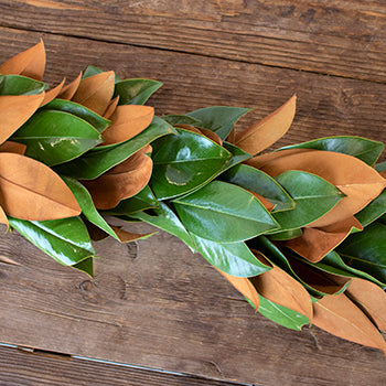 Magnolia Garland