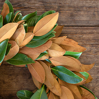 Prime Day Fresh Magnolia Wreath