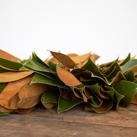 Prime Day Fresh Magnolia Wreath