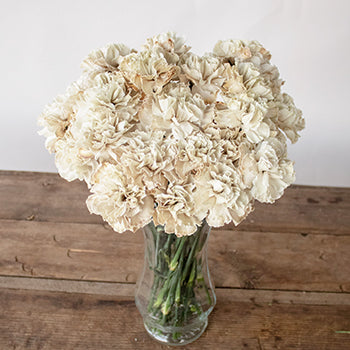Maka Beige Carnation Flowers in a Vase