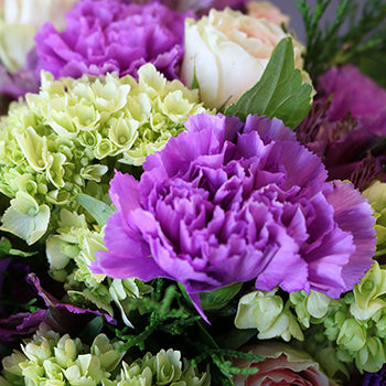 Pay it Flowered Carnation Bouquet