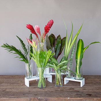 Maui Tropical DIY Flower Kit Bunch