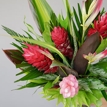Maui Tropical DIY Flower Kit Up Close