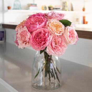 Sunset Hues Fresh Cut Pink Mayra Roses