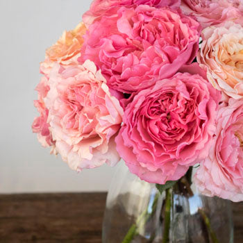 Sunset Hues Fresh Cut Pink Mayra Roses