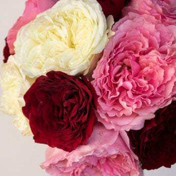 Romantic Night Fresh Cut Mayra Roses