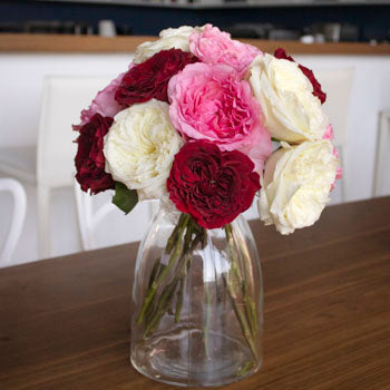 Romantic Night Fresh Cut Mayra Roses