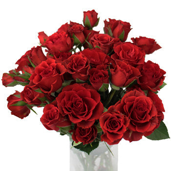 Mikado Light Red Spray Rose Bunch