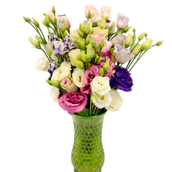Mini Double Assorted Lisianthus Wholesale Flower In a vase