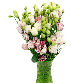 Mini Double Fleuralisa Pink Lisianthus Wholesale Flower In a vase